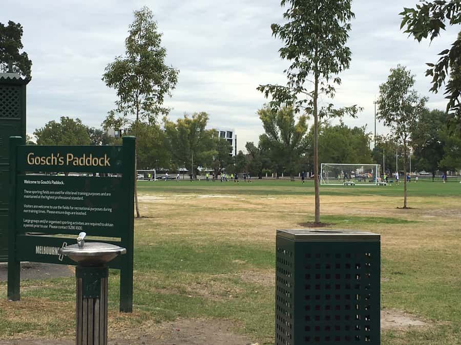 Melbourne Sports Walk - Key Points You’ll Care About