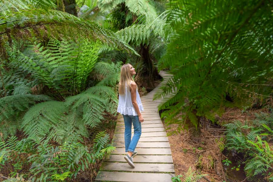 Melbourne to Adelaide: 2-Day Great Ocean Road Grampians Tour - Great Otway National Park Walk: Your Chance to Get Off the Bus