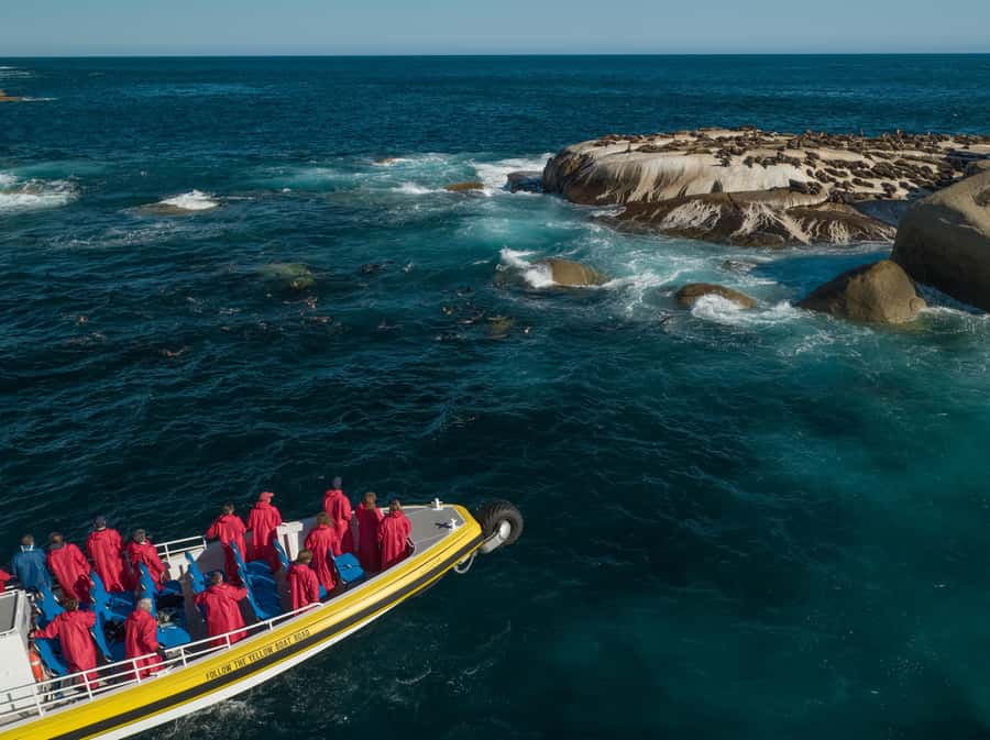 Melbourne: Wilsons Promontory Morning Wilderness Cruise - Key points before you go