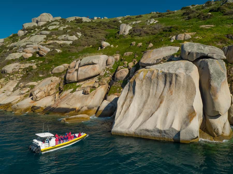 Melbourne: Wilsons Promontory Morning Wilderness Cruise - From Melbourne to the Prom: how the morning pace works