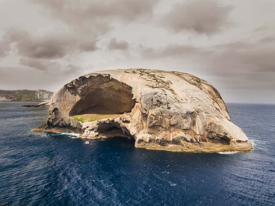 Melbourne: Wilsons Promontory Morning Wilderness Cruise - The amphibious boat: the ride you’re signing up for