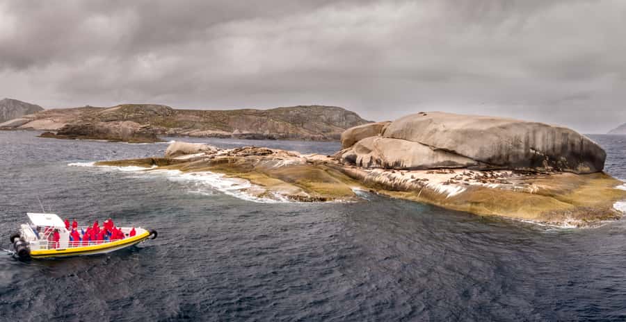 Melbourne: Wilsons Promontory Morning Wilderness Cruise - Wildlife spotting: seals, dolphins, and the whale question