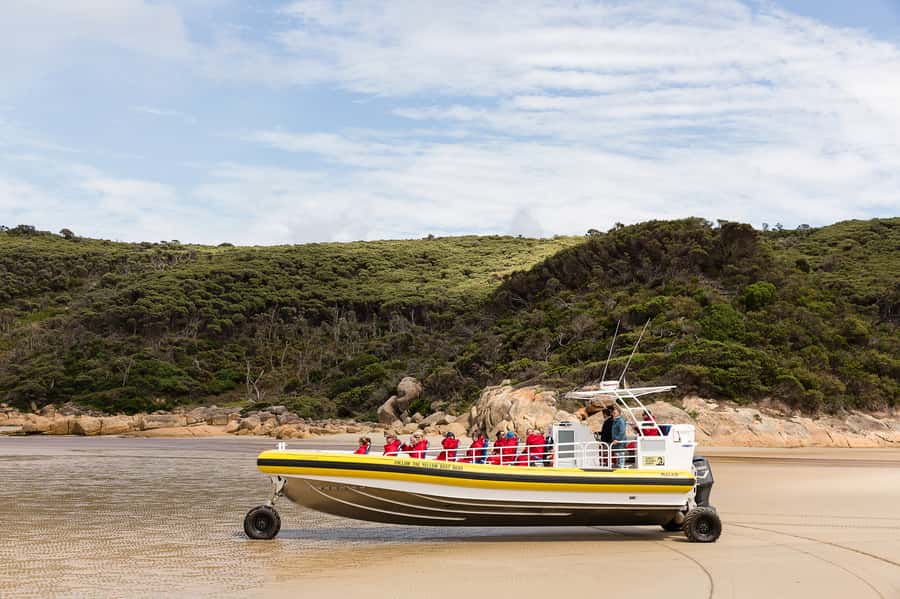 Melbourne: Wilsons Promontory Morning Wilderness Cruise - Where you meet and what to do before departure