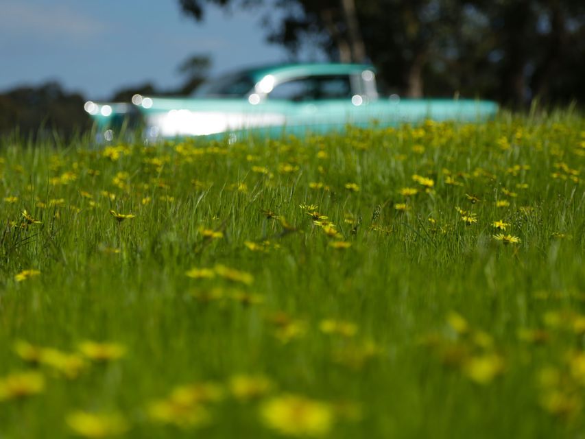 Melbourne: Yarra Valley Food & Wine Tour in a '56 Chevrolet - Healesville lunch: a real town break instead of another tasting room
