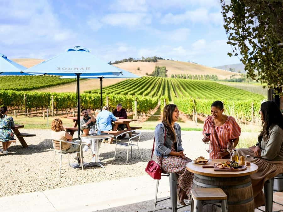 Melbourne: Yarra Valley Half-Day Wine Tour - VIP Transport Details You’ll Appreciate (Especially After Tasting)