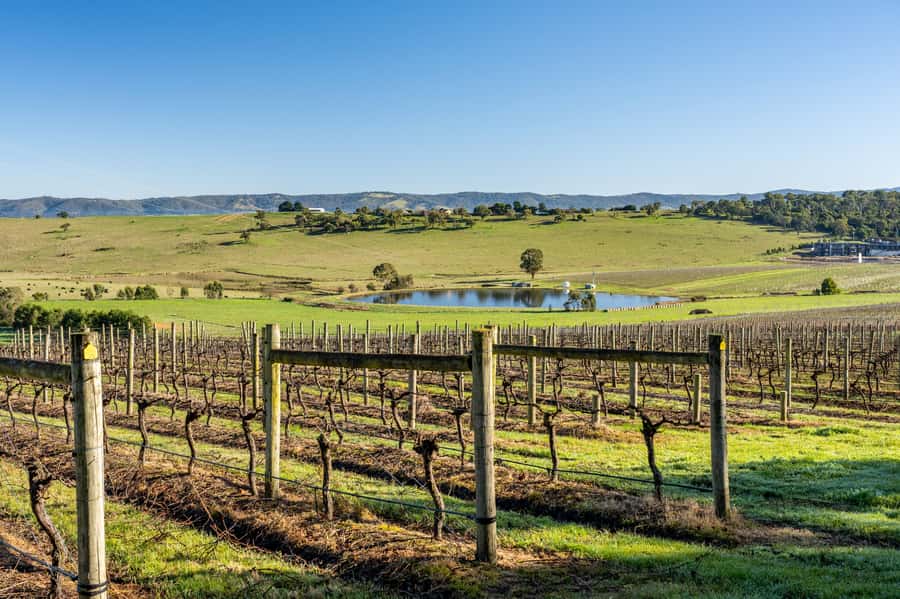 Melbourne: Yarra Valley Wine, Cider, Gin, Beer, & Choc Tour - Meeting at 74 Spring St: the early start that keeps everything on track