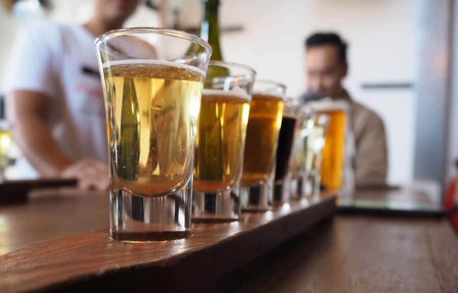 Melbourne: Yarra Valley Wine Tour + Lunch & Gin/Beer Option - Timing, pacing, and logistics that matter
