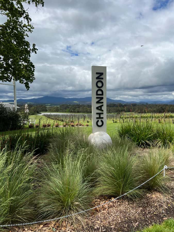 Melbourne: Yarra Valley Wineries Private Day Tour - The Winery Route: What Each Stop Feels Like