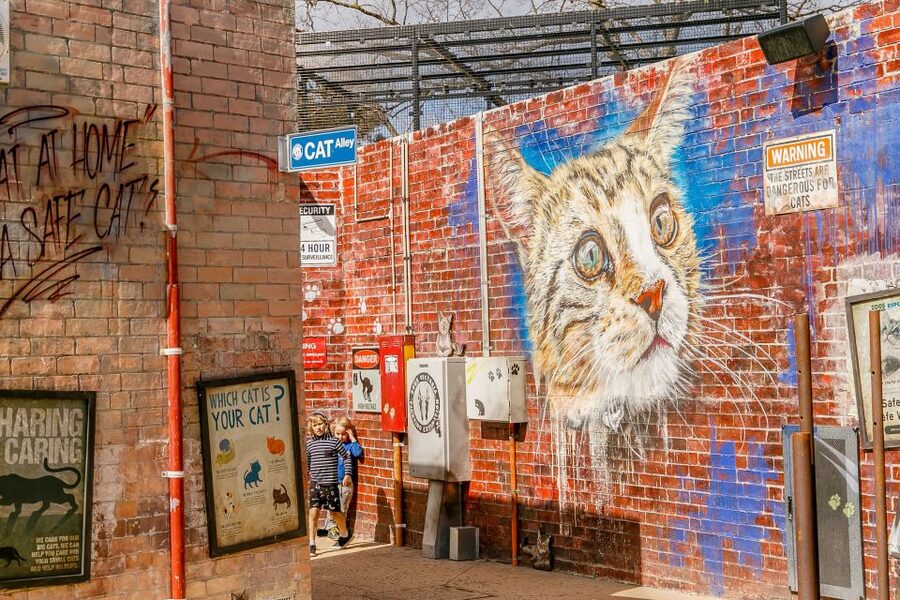 Melbourne Zoo: 1-Day Entry Ticket - Price and value: is $37 a good deal?