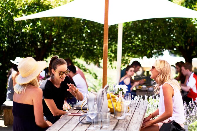 Montalto Vineyard: Mornington Peninsula Discovery Wine Tasting and Lunch - What you’ll taste: Pinot Noir, Chardonnay, and Pinot Gris