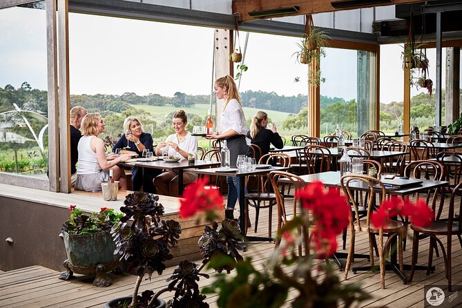 Montalto Vineyard: Mornington Peninsula Discovery Wine Tasting and Lunch - Lunch in the Alfresco Piazza: seasonal food plus a glass of Montalto