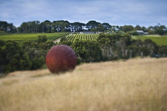 Montalto Vineyard: Mornington Peninsula Discovery Wine Tasting and Lunch - Price and what’s actually included at $96.83