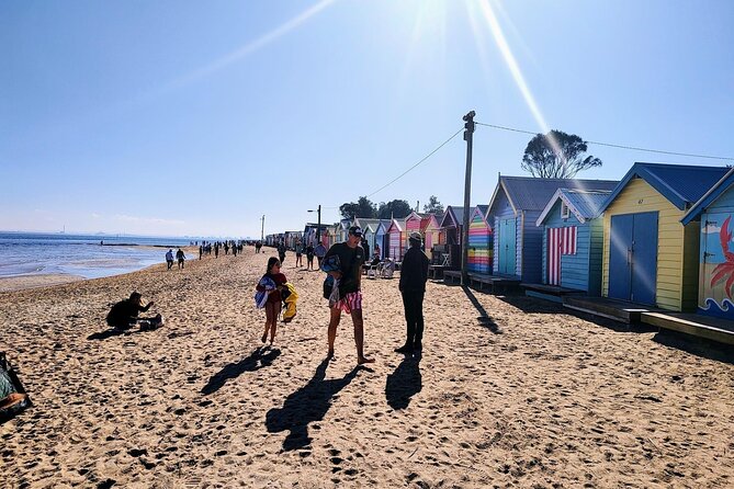 Moonlit Sanctuary and Brighton Beach Boxes Half Day Tour - Who this tour suits best (and who should think twice)