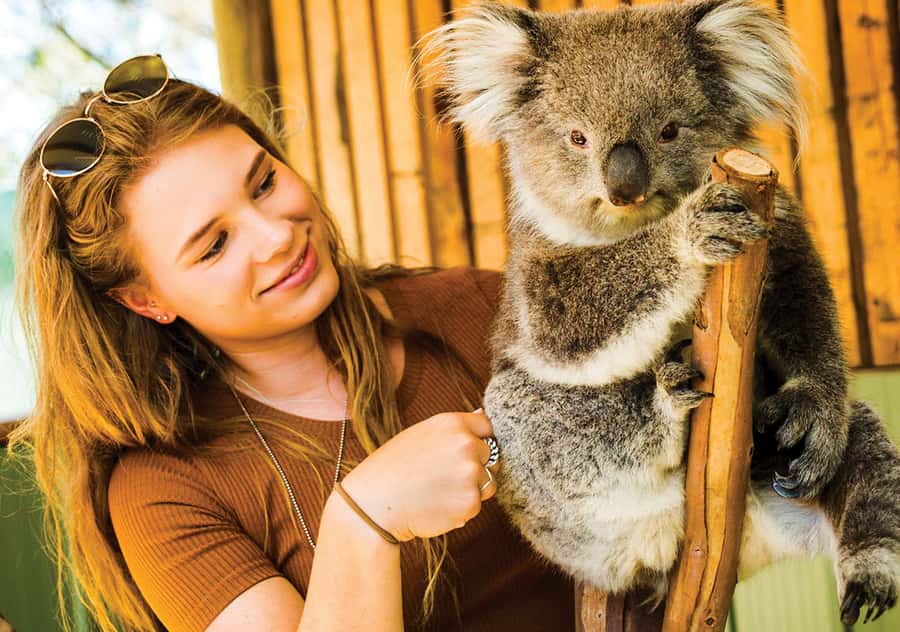 Moonlit Sanctuary Conservation Park Entry Ticket - Key things to know before you go