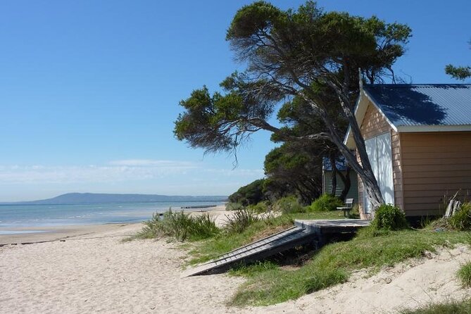 Mornington Peninsula Coastal Discovery Tour from Melbourne - Quick Hits to Know Before You Go