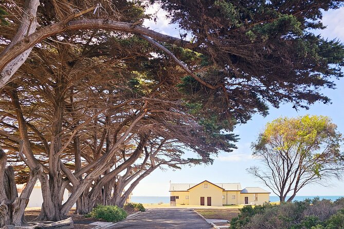 Mornington Peninsula Coastal Discovery Tour from Melbourne - Small Group Reality (Max 15) and How the Guide Works
