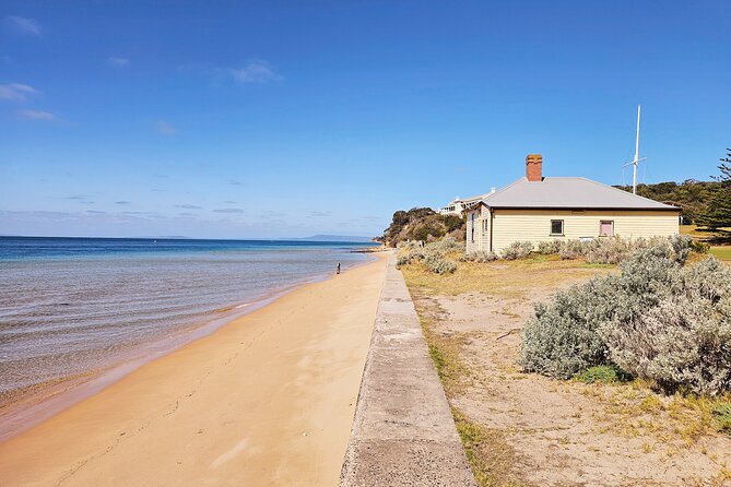 Mornington Peninsula Coastal Discovery Tour from Melbourne - What to Bring for a Smooth 8-Hour Coast Day