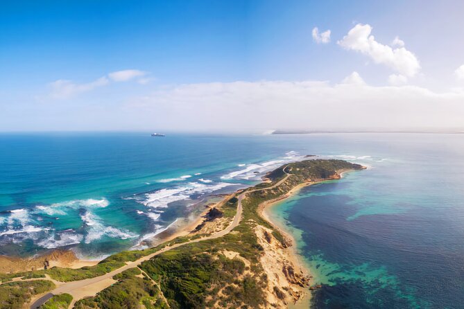Mornington Peninsula Coastal Discovery Tour from Melbourne - Meeting Point at St Kilda Rd: Coffee, Pickup, and a Clear 10:00 Start