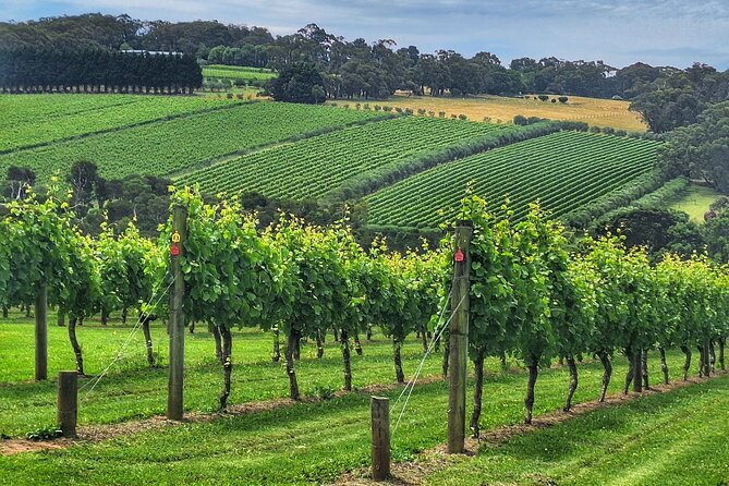 Mornington Peninsula Day Tour. Your Day Your Way. Your group only - Why this private Mornington Peninsula day stands out