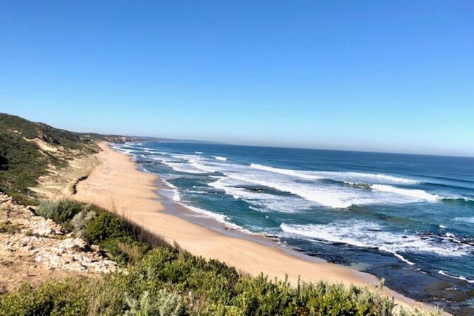 Mornington Peninsula Day Tour. Your Day Your Way. Your group only - Optional Pt. Leo Estate wine time: good for couples and slow food lovers