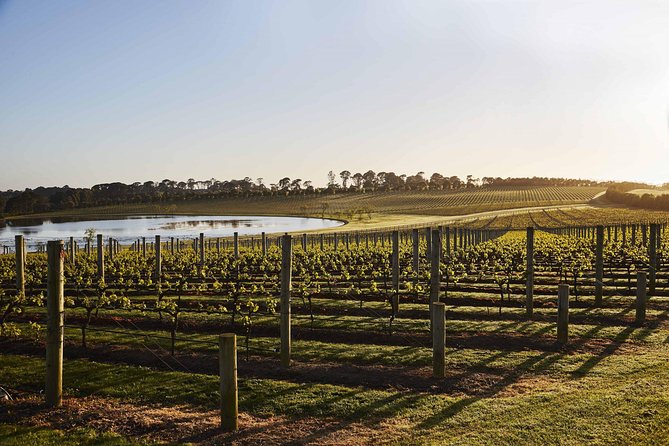 Mornington Peninsula Food and Wine Taste Trail - Why this Mornington Peninsula day feels easy from Melbourne