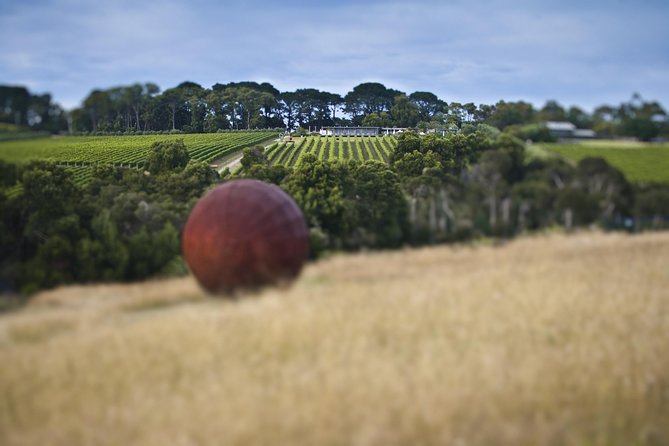 Mornington Peninsula Food and Wine Taste Trail - Stop 3: Montalto for lunch at the pizzeria and a winemaking setting