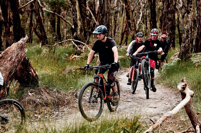 Mornington Peninsula guided e-bike tour - Riding the Red Hill–Merricks Rail Trail to end in town
