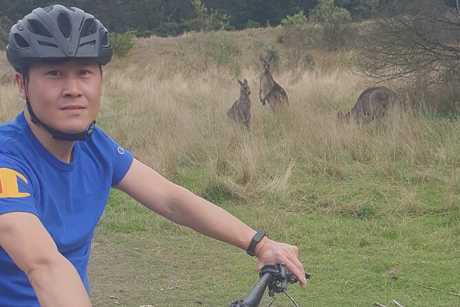 Mornington Peninsula guided e-bike tour - Weather, comms, and what to watch on tour day