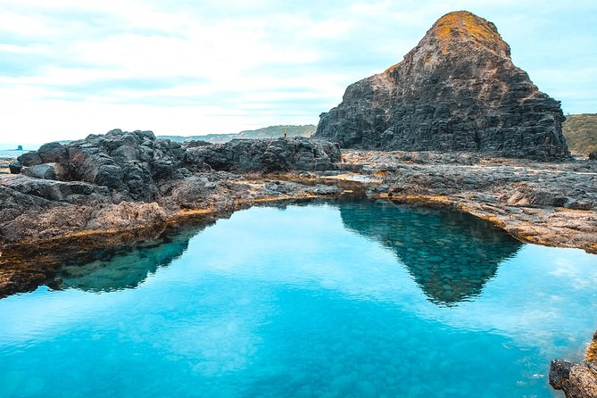Mornington Peninsula Hike and Hot Springs Day Tour - 8 people max - Price and value: what you’re really paying for