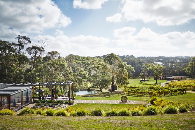 Mornington Peninsula Luxury Lunch, Wine Tasting & Pt Leo Art Walk - Quealy Winemakers: barrel room tasting and the best way to compare wines