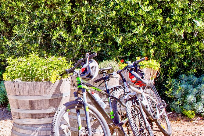 Mornington Peninsula Self-Guided Bike Tour | Food & Wine Region - Fast facts before you pedal: how the day runs