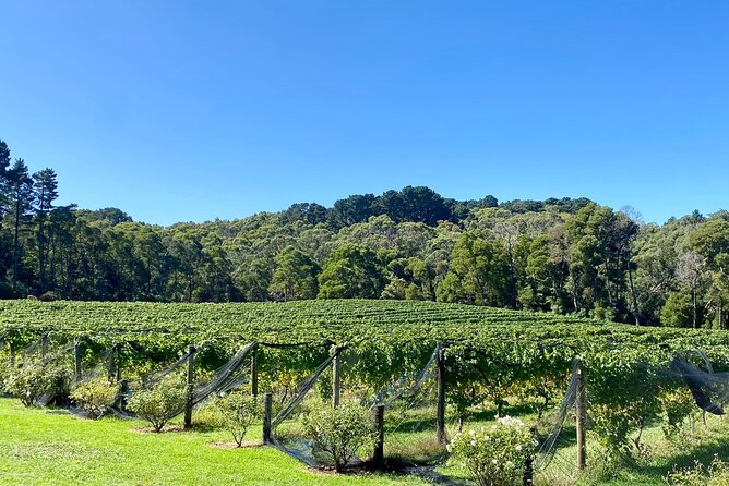 Mornington Peninsula Self-Guided Bike Tour | Food & Wine Region - What’s included (and why that matters on a self-guided day)