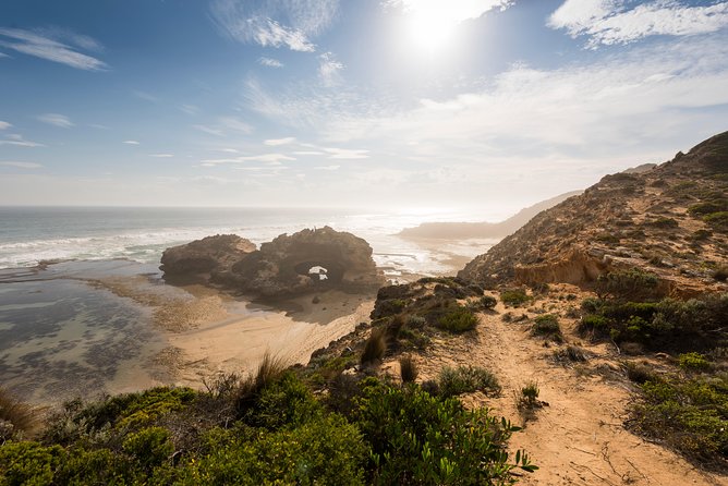 Mornington Peninsula Sightseeing and Bay Cruise - Leaving Melbourne for rugged views: what the day feels like