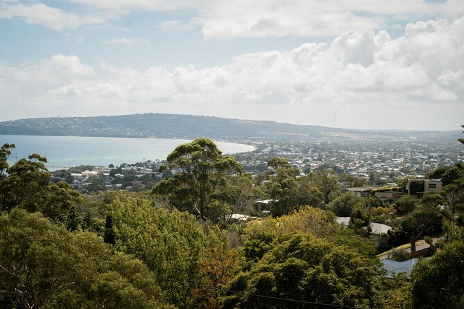 Mornington Peninsula Small Group Thermal Springs w/ Lunch & Wine - Green Olive at Red Hill: lunch + a personal wine paddle