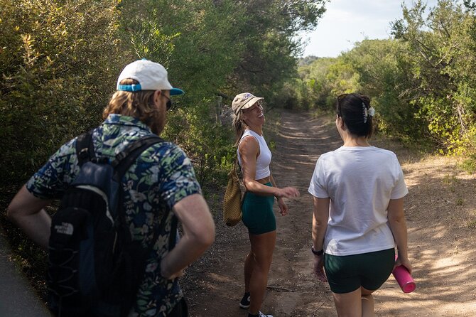 Mornington Peninsula Small Group Thermal Springs w/ Lunch & Wine - Price and logistics: is $175.72 good value?
