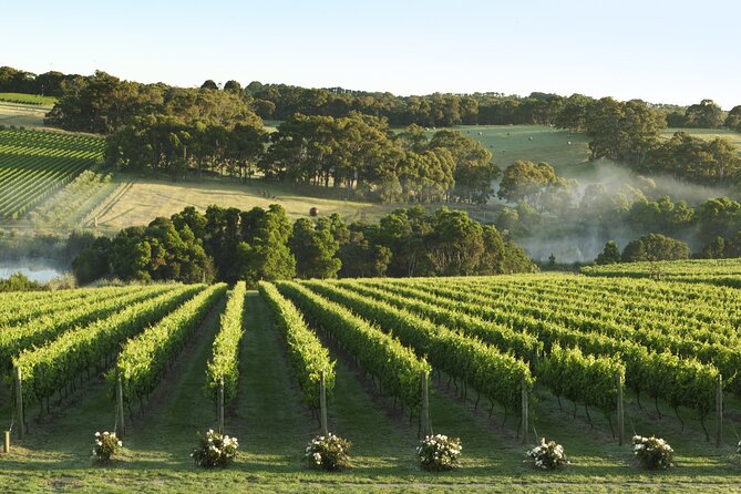 Mornington Peninsula Wine Day Tour - Pickup to return: how the van schedule shapes your day