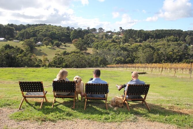 Mornington Peninsula Winery, Beer and Spirits Tour - Lunch isn’t included, and that’s why the choices matter