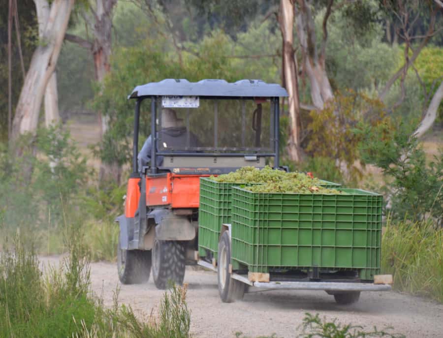Mornington Peninsula Winery Bus Tour with Lunch & Wine - Lunch With a Glass of Wine: Where You Might Eat and How It Feels