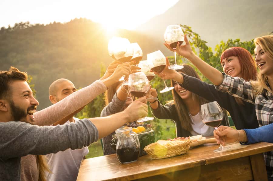 Mornington Peninsula Winery Bus Tour with Lunch & Wine - Guides and Drivers in the Real World: What to Expect From the Human Side