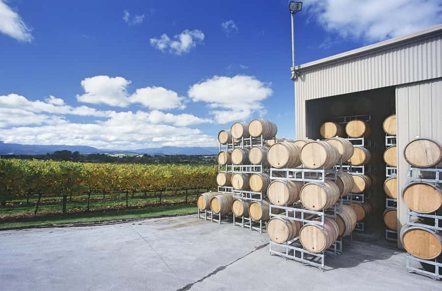 Mornington Peninsula Winery Bus Tour with Lunch & Wine - Price and Value at $138: Is It a Good Deal?