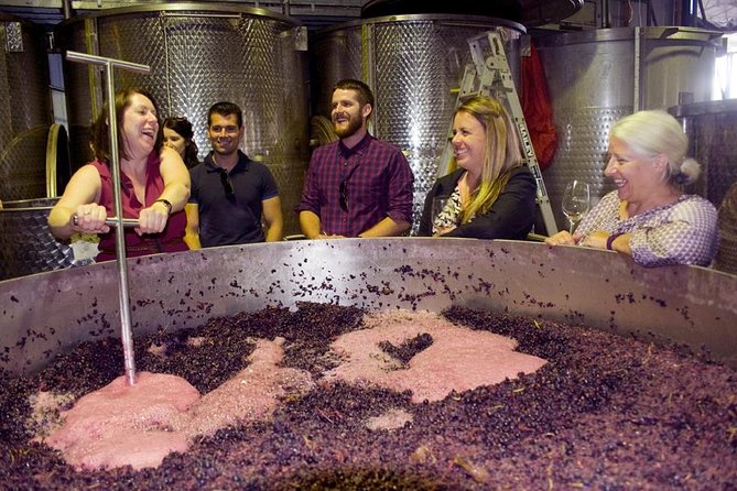 Mornington Peninsula Winery Tour - Lunch Included - Key highlights worth caring about