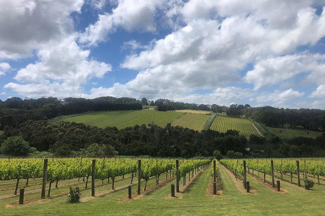 Mornington Peninsula Winery Tour - Lunch Included - Comfort, Weather, and What to Pack for a Cold Peninsula