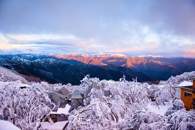 Mount Buller Sightseeing Tour - Mansfield Stop at Alzburg Resort Mansfield: Gear, Gear, and More Gear