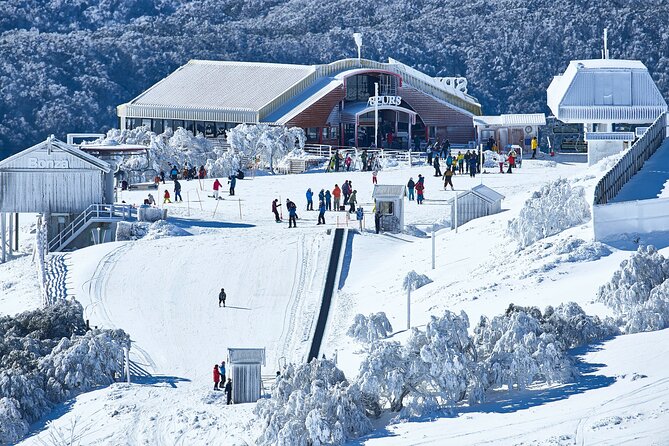 Mount Buller Sightseeing Tour - Turning the Day Around: Returning to Alzburg for Rentals