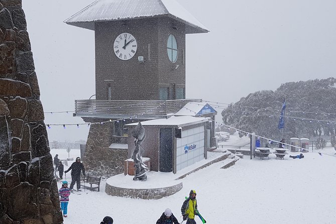 Mt Buller Day Trip from Melbourne - Key things to know before you go