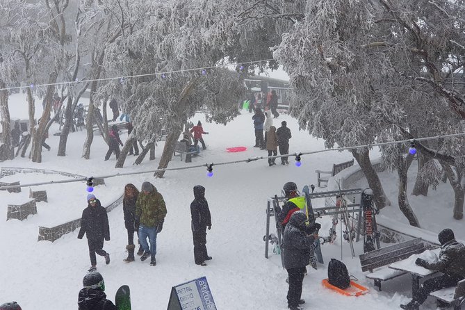 Mt Buller Day Trip from Melbourne - Who this tour suits best (and who should look elsewhere)