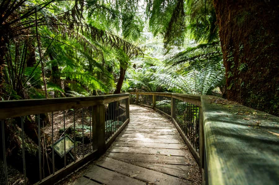 Oceans to Mountains Explorer: 3-Day Great Ocean Road Tour - Grampians waterfalls and lookouts: Mackenzie Falls to Boroka and The Balconies