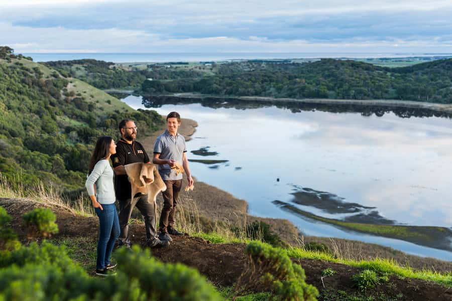 Oceans to Mountains Explorer: 3-Day Great Ocean Road Tour - Price and value at $491: what’s included (and what saves you money)