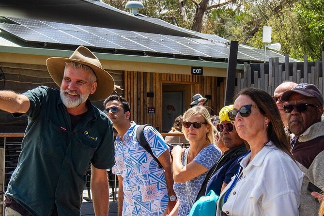 Penguin Parade, & Wildlife Encounters Eco Tour from Melbourne - Cowes dinner stop in summer: where food timing becomes your decision