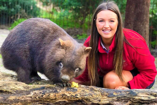 Peninsula Nature Tour - Price Check: Is $312 Per Person Good Value?